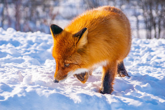     .     .      .  .   .        .  .   