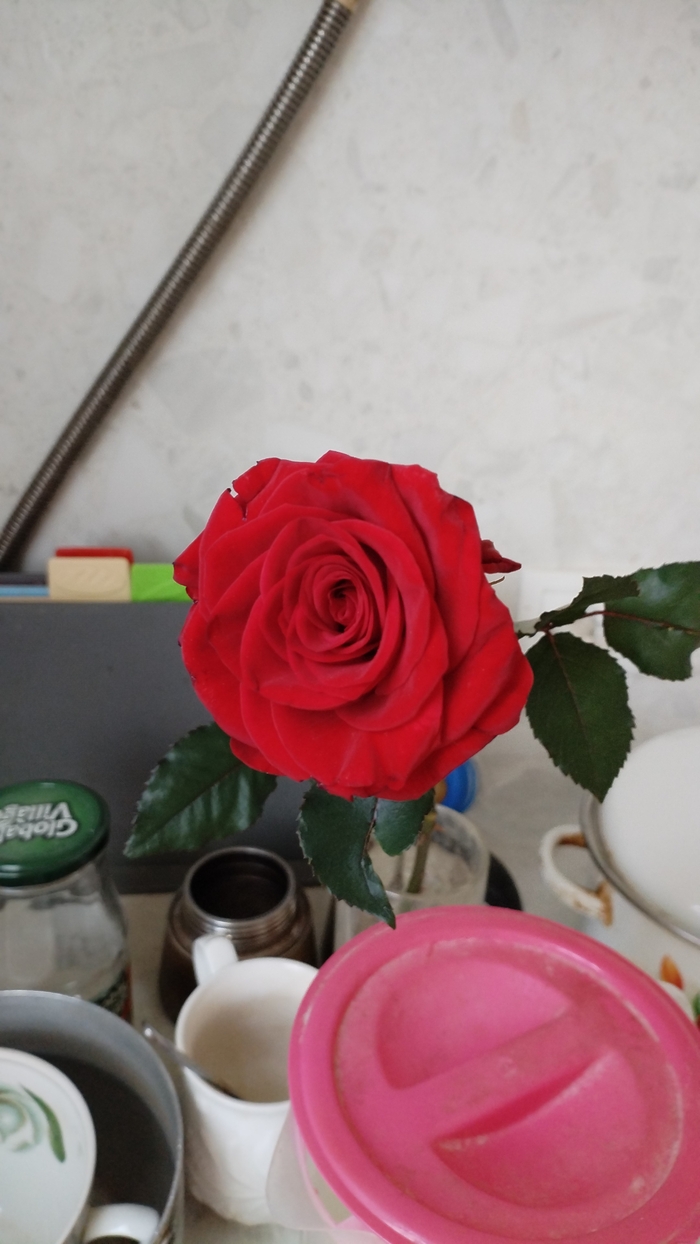 ��� �� ������