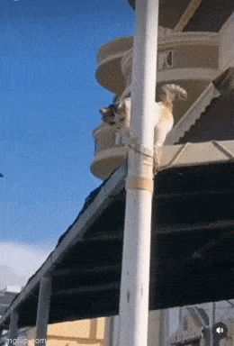   , , , 