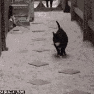   , , , 