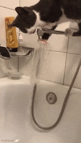   , , , 