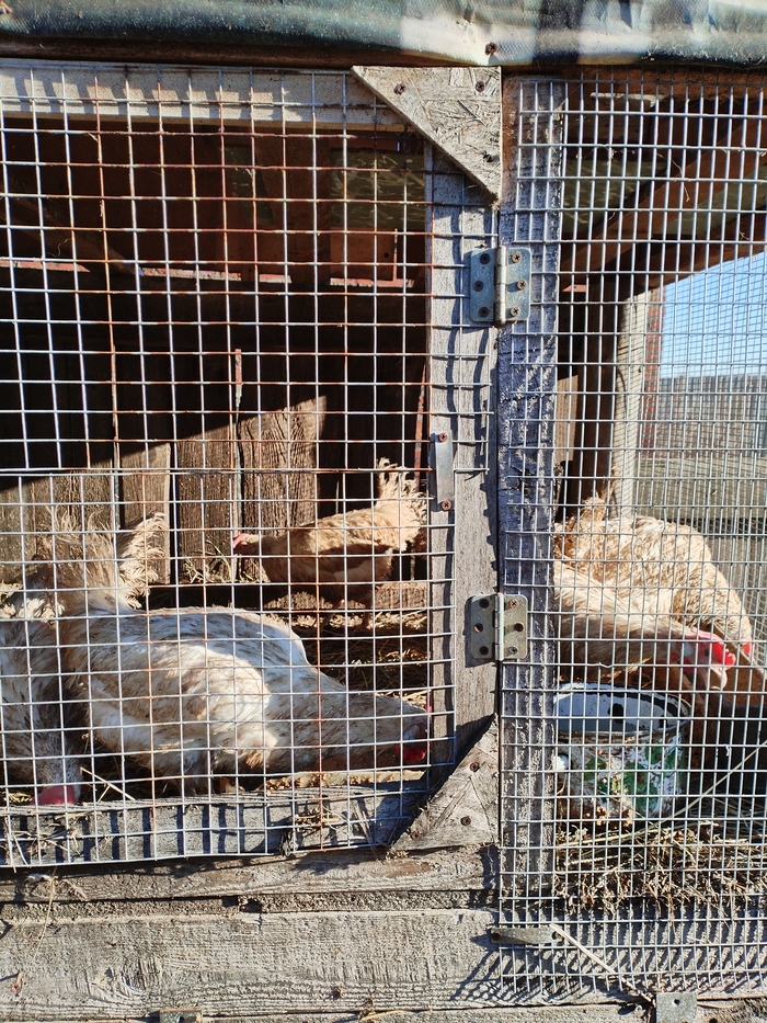 � ����� � ��� �����������, ������ � ����������. 