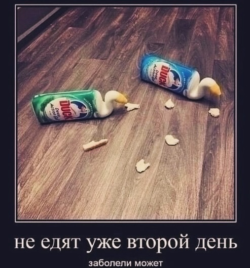  , , , , ,  