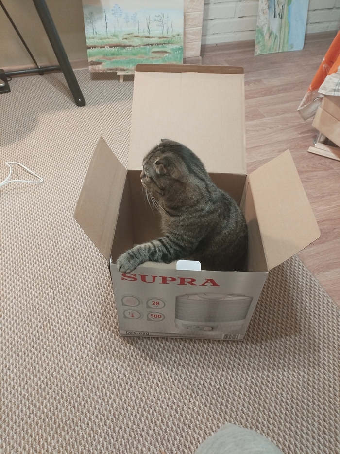 � ����� �������� ���������. 