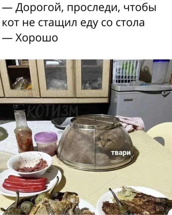 Что за гулянка без кота?