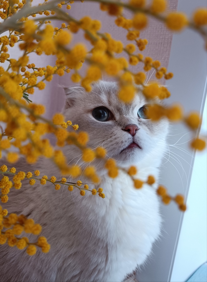 �������� �����)