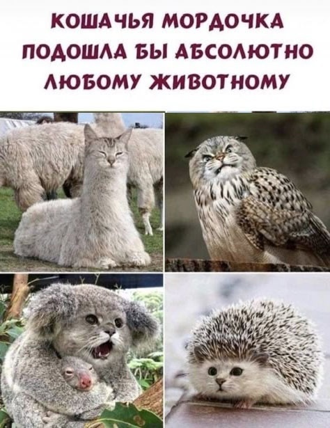 ���������?)))