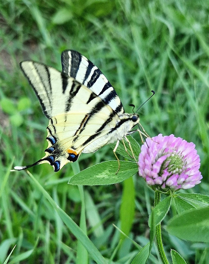      ,  ,  , , , , , , , , 
