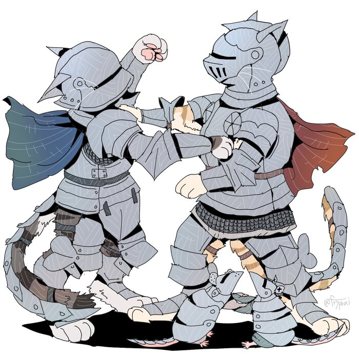 Рыцарский поединок!