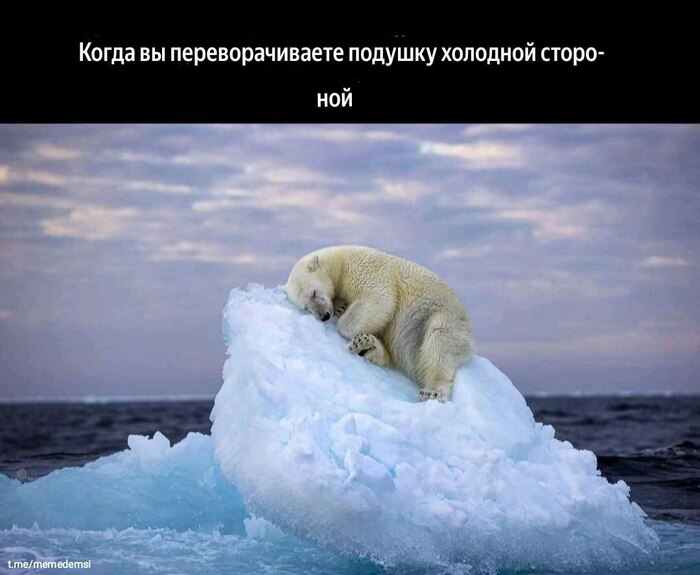    ,   , ,  , , , Telegram ()