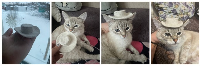 �������� ������ ���������! �������� ������ ��������, ��������� � ������� �������� ����! � ��� �� �� ������ ����� �� �� ������((( ��������, ��� ������� �� ����� �������, ��� ����. P.s. � �� �� ������ �����, ������� �� ������.