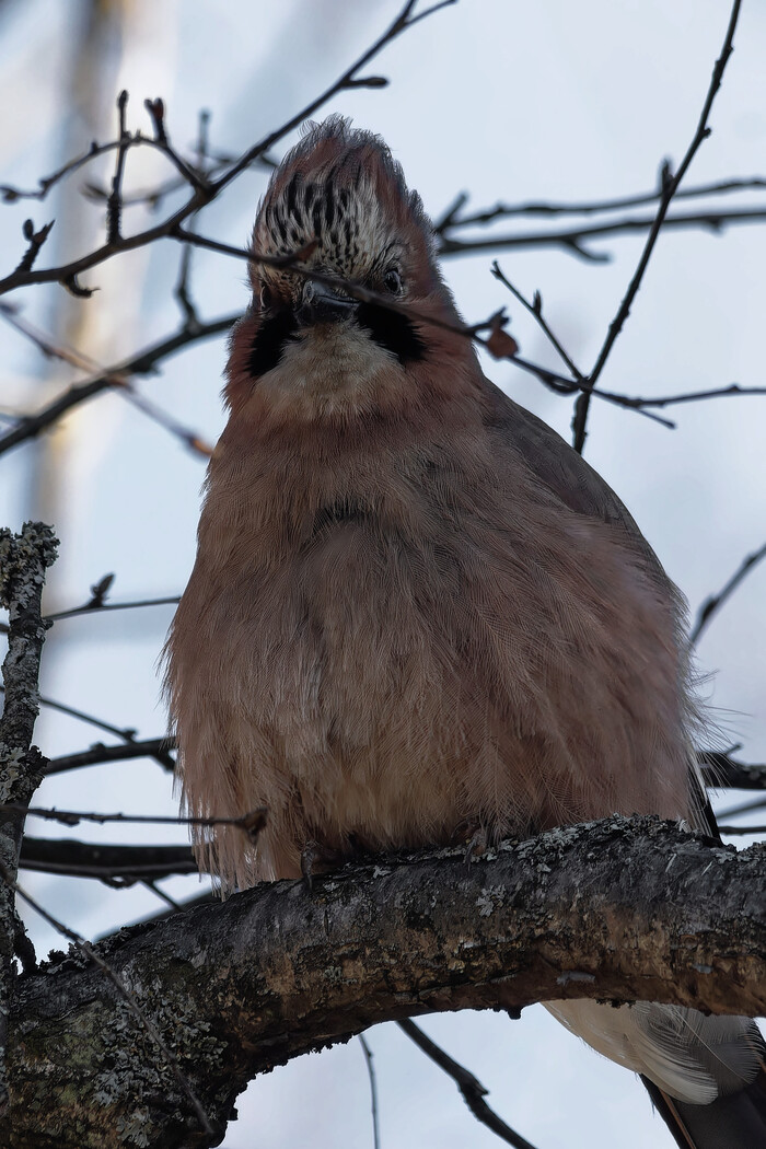 �� �� ������ �������