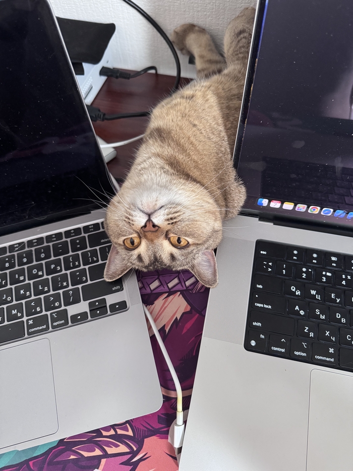 ���������?