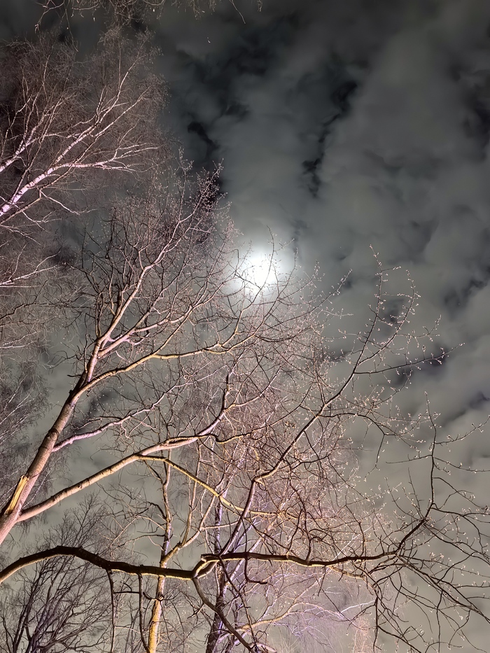 �������������..