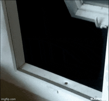     ,   , , , 