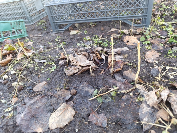      60   .          .    -,  .      .  ,      . 