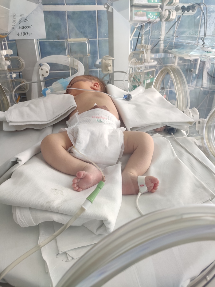 Самые жуткие кадры нашей жизни