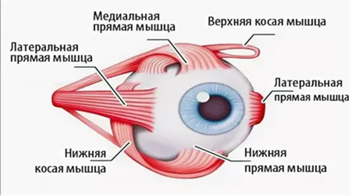       , , , , , , , 