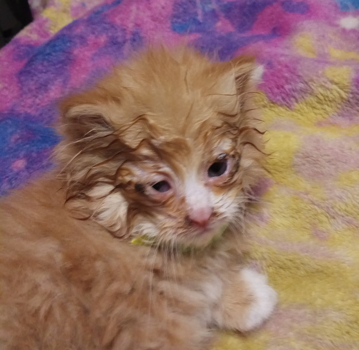 ���������. ������ ��� ����.