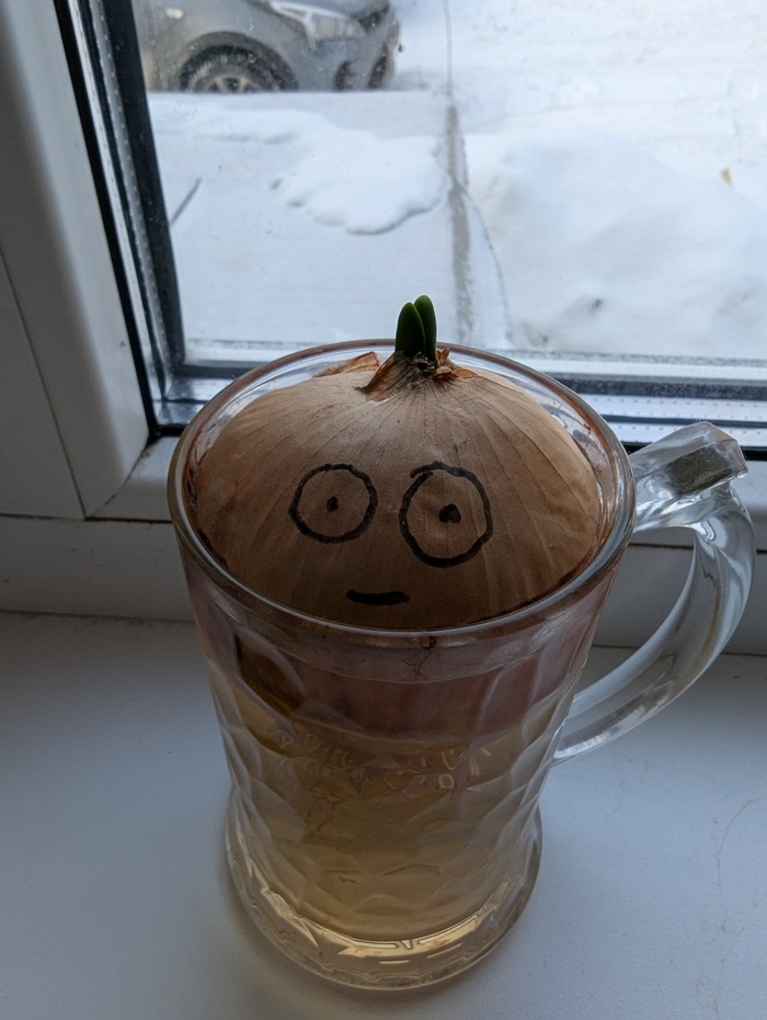 ��� ����