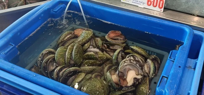 Рыбный рынок в Сиднее Австралия, Рынок, Рыба, Деликатес, Длиннопост