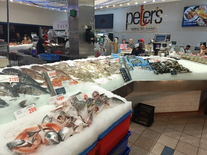 Рыбный рынок в Сиднее Австралия, Рынок, Рыба, Деликатес, Длиннопост