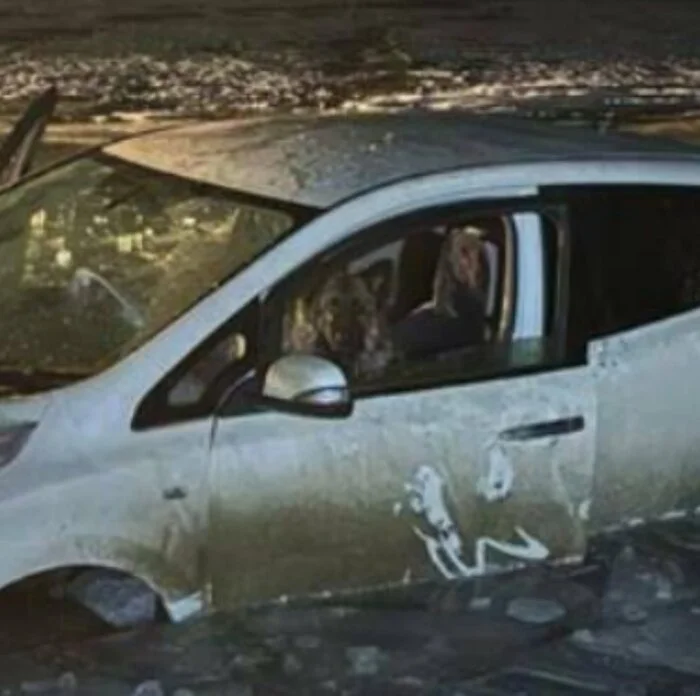 A dog locked in a sinking car was rescued on Lake Baikal - Pets, Dog, Ministry of Emergency Situations, Animal Rescue, Baikal, news, Auto, Fell under the ice, Longpost