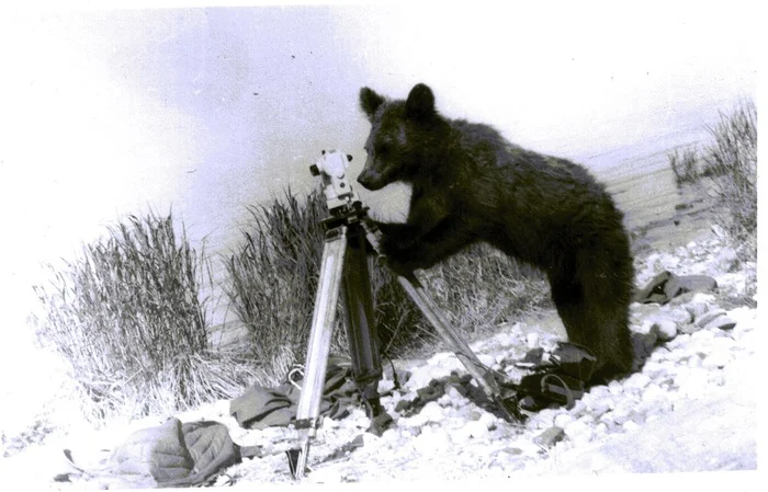 Happy Geodesy and Cartography Worker Day! - My, Geodesy, Theodolite, The Bears, Professional holiday