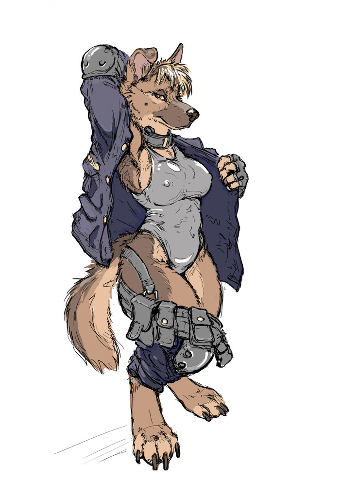   , , Hotchkisstank, Furry Dog, Furry edge, , 
