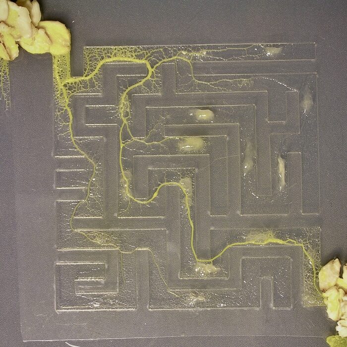 ���� � ��������� ���������