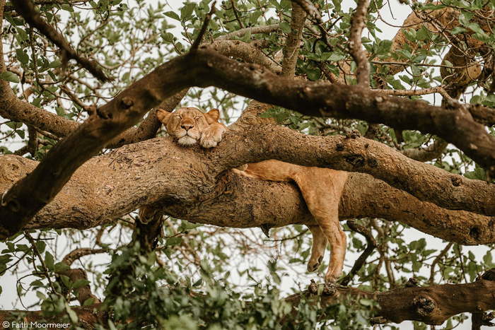 Не беспокоить