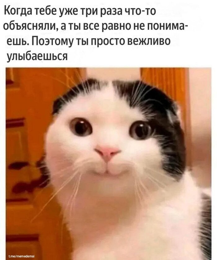    ,   , , , Telegram (), 