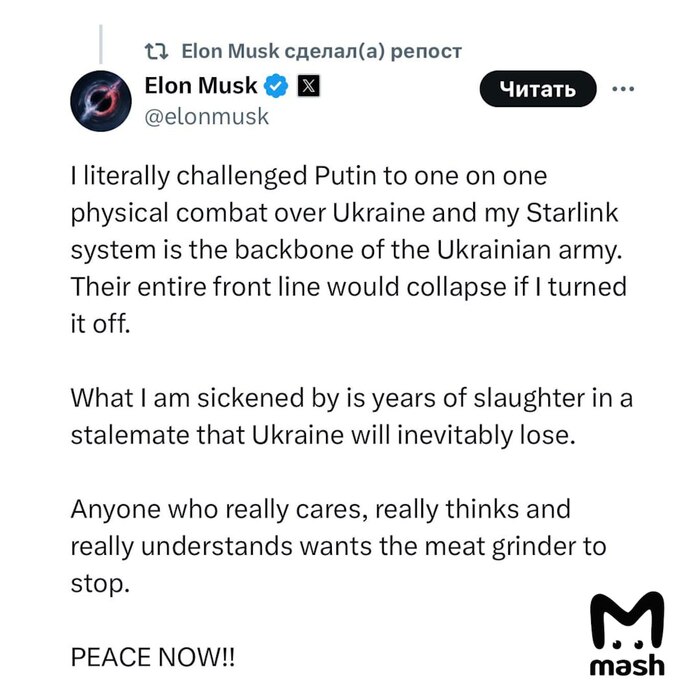   Starlink        ,     , Starlink,  , , , X (Twitter), , , ,   , Telegram (), 