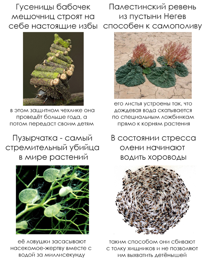 �������� ����� #28