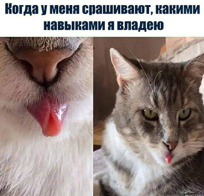 Это обо мне может многое открыть, мне кажется