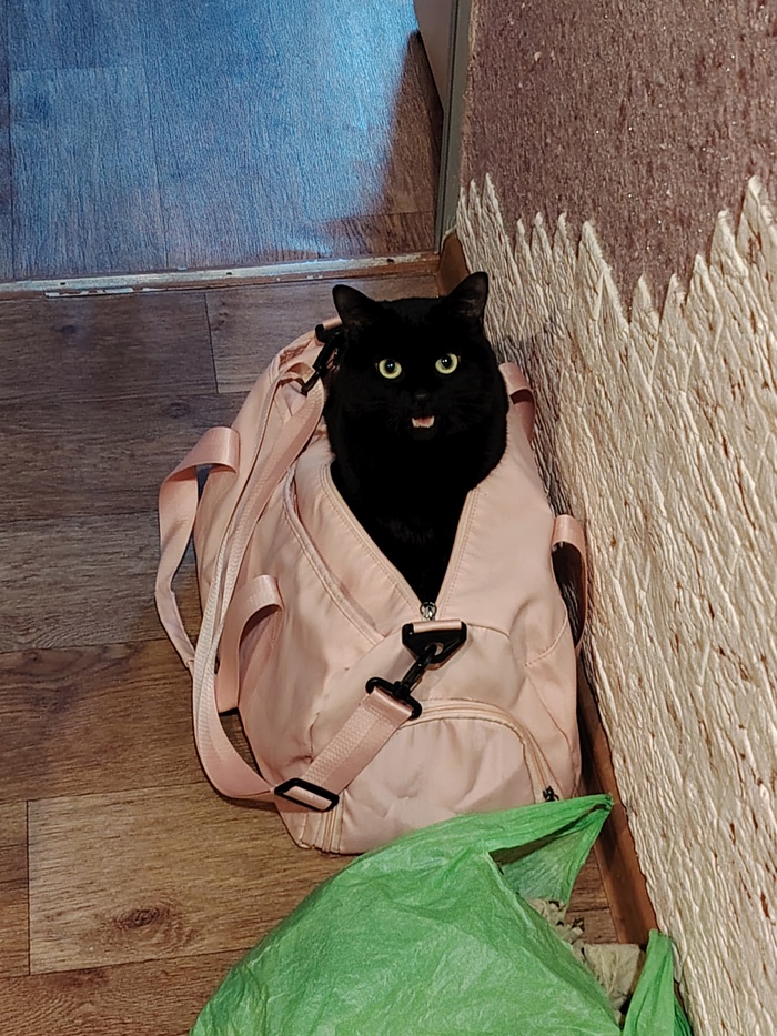    :    , , ,  , ,  ,   