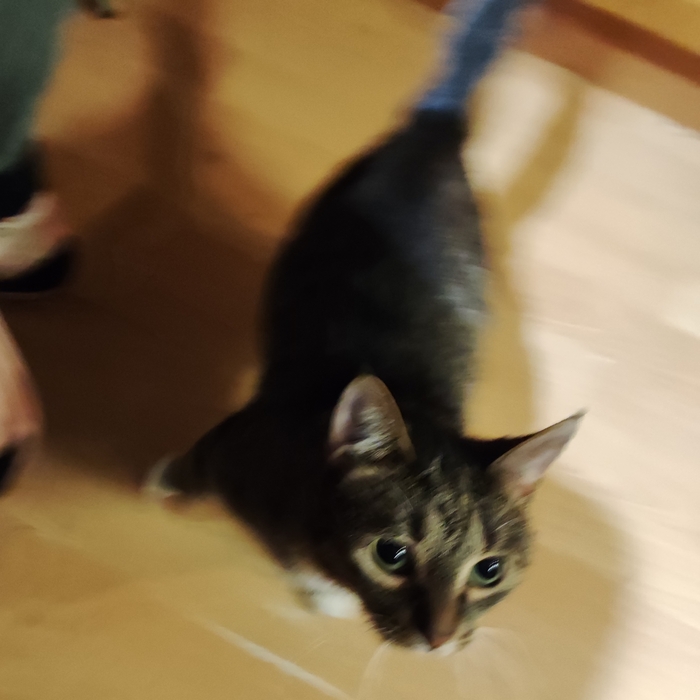    ... , ,  , ,  , 