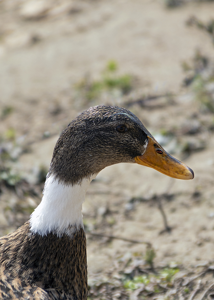 Одна тут отдыхаешь?