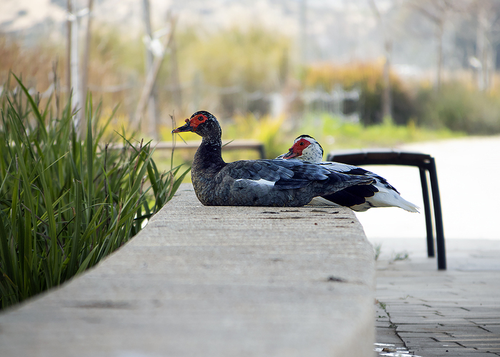 -Присаживайся, мы нагрели.