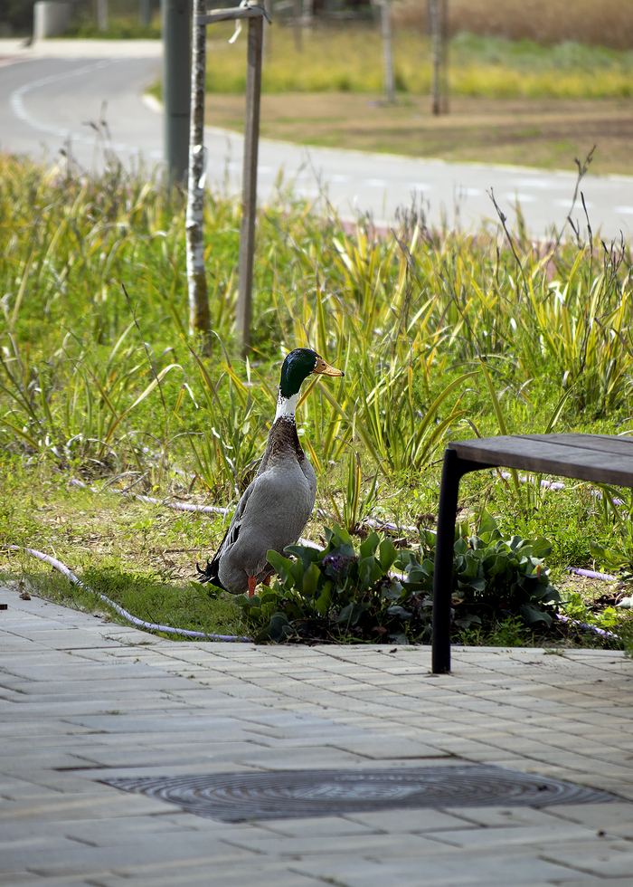 У моей прабабушки был такой же графин
