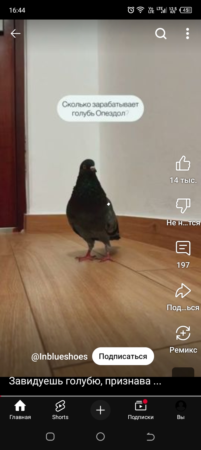 ����� ���������� ����?