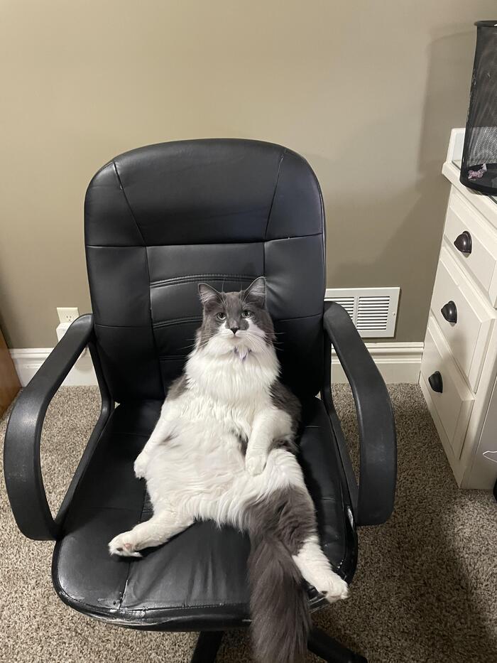 ������� �������� �� ��������