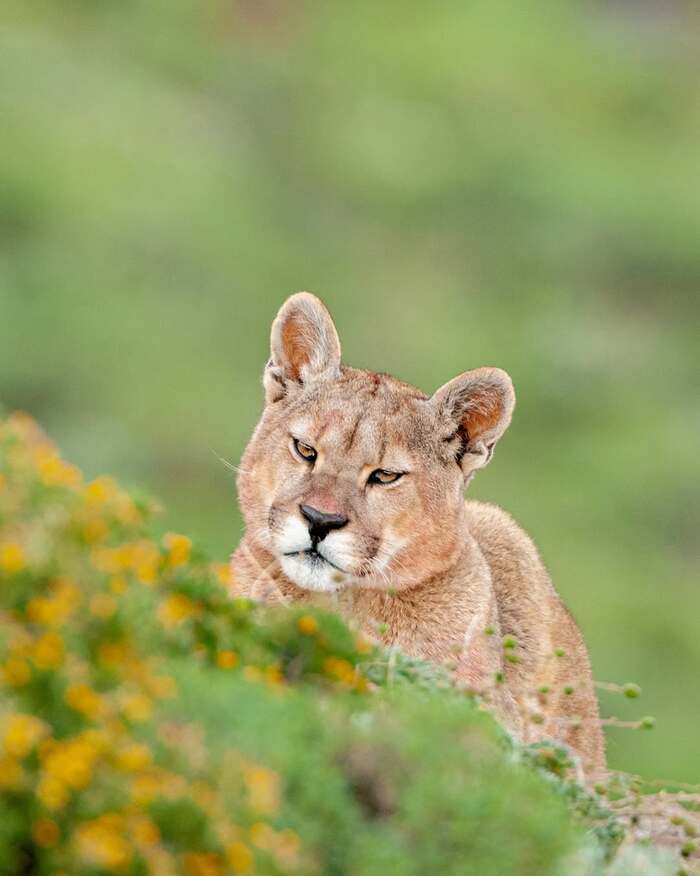 Не выспалась