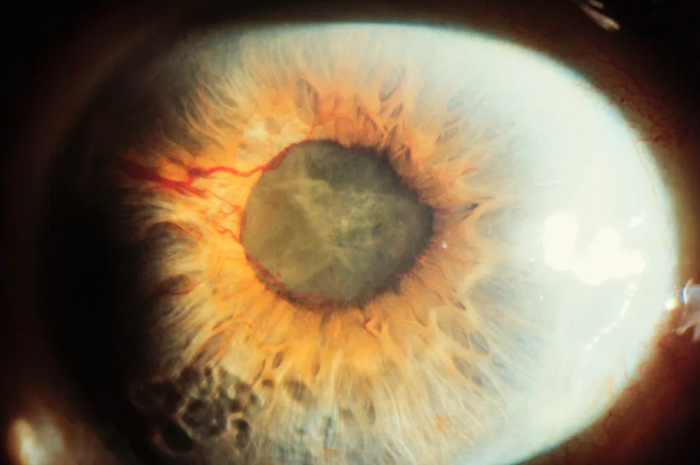 ����� 2:  ������ ��������� �������: �������, ������� �������� � ���� � �����