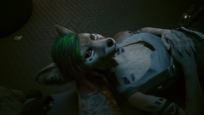 Фурри в Cyberpunk 2077 #44 Foxy V
