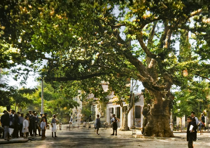 ��������: �������� �������