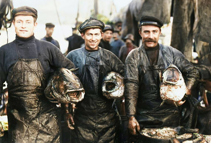 ��������: ������ ���� ������