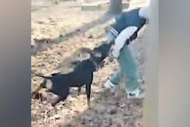         , ,  ,  , , , Telegram ()