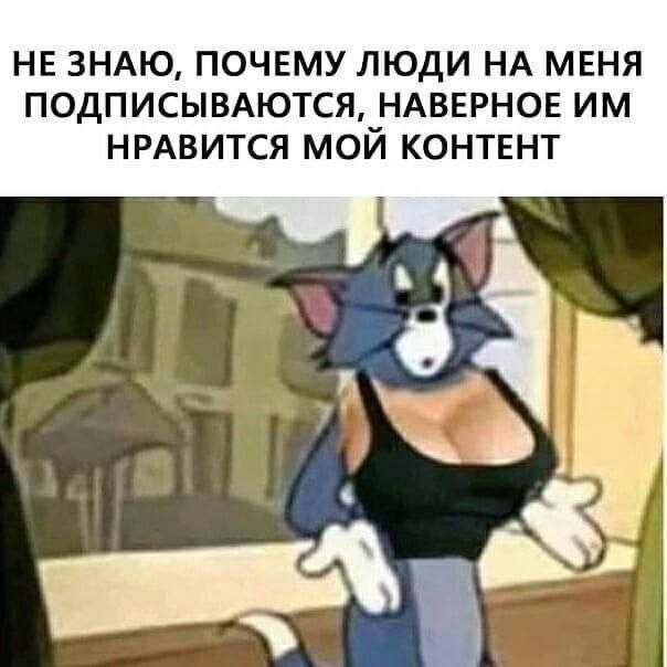 .jpg , , ,   ,   