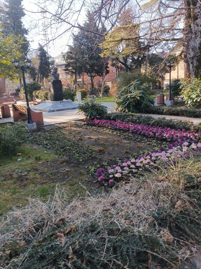 Капусте пофигу мороз....